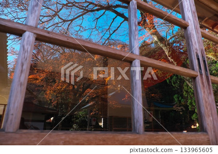 Autumn at Daiyuzan Saijoji Temple: Blue sky and autumn leaves reflected in the glass Autumn at Daiyuzan Saijoji Temple: Blue sky and autumn leaves reflected in the glass 133965605