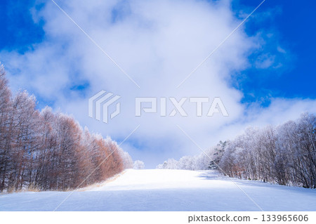 【滑雪場材質】銀色滑雪場與藍天【長野縣】 133965606