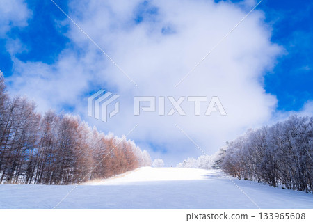 【滑雪場材質】銀色滑雪場與藍天【長野縣】 133965608