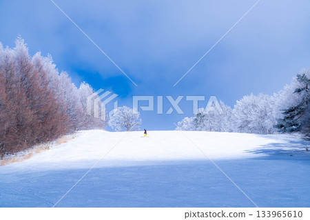 [Slope material] Silver slopes and blue skies [Nagano Prefecture] 133965610