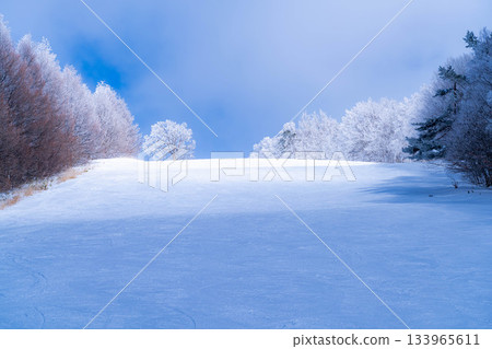 [Slope material] Silver slopes and blue skies [Nagano Prefecture] 133965611