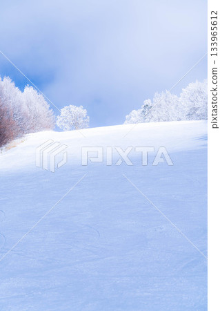 [Slope material] Silver slopes and blue skies [Nagano Prefecture] 133965612
