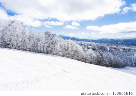 【滑雪場材質】銀色滑雪場與藍天【長野縣】 133965616