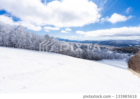 【滑雪場材質】銀色滑雪場與藍天【長野縣】 133965618
