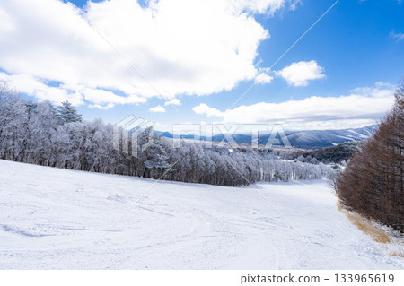 [Slope material] Silver slopes and blue skies [Nagano Prefecture] 133965619