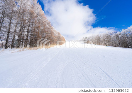 【滑雪場材質】銀色滑雪場與藍天【長野縣】 133965622