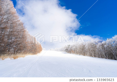 [Slope material] Silver slopes and blue skies [Nagano Prefecture] 133965623