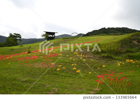 前往旅行：白良濱萬葉公園#8 133965664