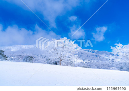 [冬季素材]銀霜風景[長野縣] 133965690