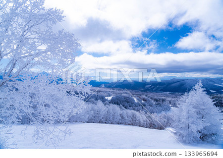 [冬季素材]銀霜風景[長野縣] 133965694