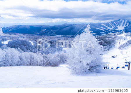 [Winter material] Silvery frost landscape [Nagano Prefecture] 133965695