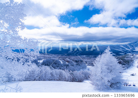 [Winter material] Silvery frost landscape [Nagano Prefecture] 133965696