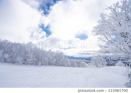 [Winter material] Silvery frost landscape [Nagano Prefecture] 133965700