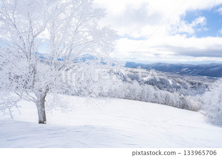 [冬季素材]銀霜風景[長野縣] 133965706