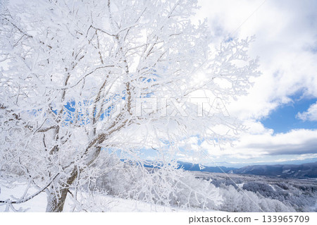 [Winter material] Silvery frost landscape [Nagano Prefecture] 133965709