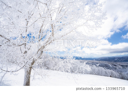 [Winter material] Silvery frost landscape [Nagano Prefecture] 133965710