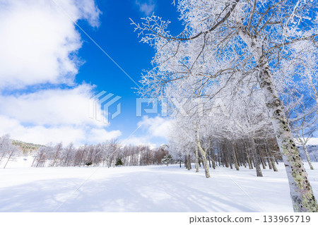 [Winter material] Silvery frost landscape [Nagano Prefecture] 133965719