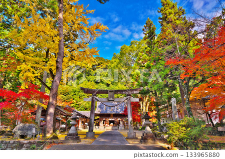 Matsudaira Toshogu Shrine in autumn Matsudaira Toshogu Shrine in autumn 133965880