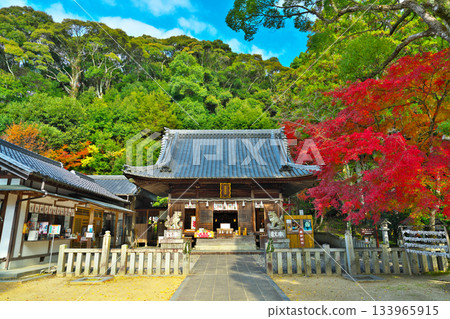 Matsudaira Toshogu Shrine in autumn Matsudaira Toshogu Shrine in autumn 133965915