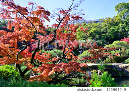 城市天堂：神戶空樂園的秋葉 133965949