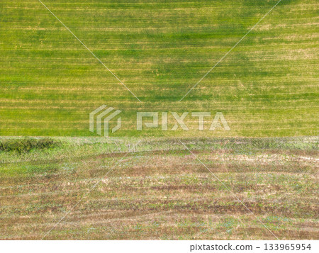 Aerial View of Farmland With Green and Brown Striped Texture Aerial View of Farmland With Green and Brown Striped Texture 133965954