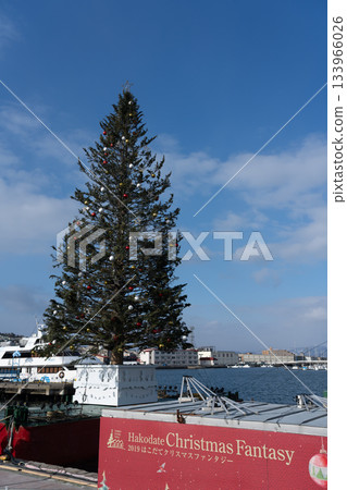 北海道函館市的聖誕樹 133966026