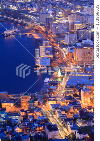 北海道函館市景與聖誕樹 133966035