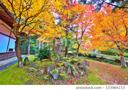 秋天的鬆平東照宮 秋天的鬆平東照宮 133966153