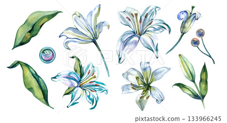 Elegant watercolor set of alstroemeria flowers, buds, leaves and decorative elements. Delicate hand-painted botanical clipart perfect for cards, invitations, branding, packaging, textile and craft Elegant watercolor set of alstroemeria flowers, buds, leaves and decorative elements. Delicate hand-painted botanical clipart perfect for cards, invitations, branding, packaging, textile and craft 133966245