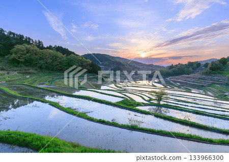 Otsuki Kazuni的Okayama_露台水稻梯田 Otsuki Kazuni的Okayama_露台水稻梯田 133966300