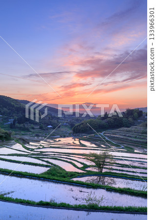 Otsuki Kazuni的Okayama_露台水稻梯田 133966301