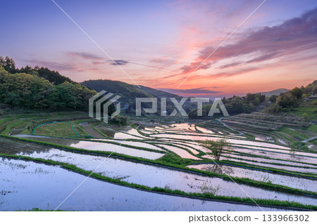Otsuki Kazuni的Okayama_露台水稻梯田 133966302