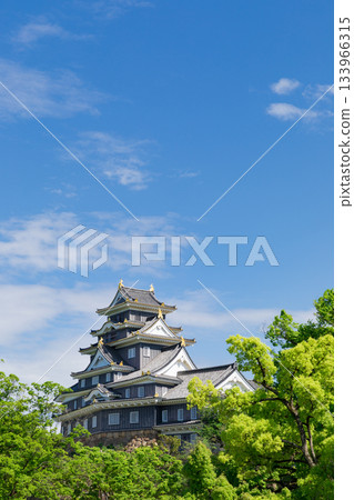 岡山城堡閃耀在岡山_新鮮的綠色 133966315