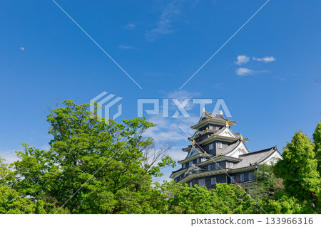 Okayama Castle shining in Okayama _ fresh green 133966316