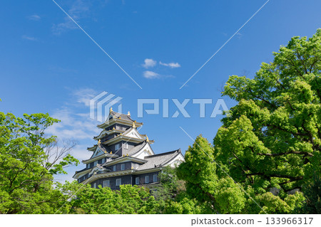 岡山城堡閃耀在岡山_新鮮的綠色 岡山城堡閃耀在岡山_新鮮的綠色 133966317