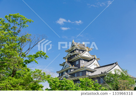 岡山城堡閃耀在岡山_新鮮的綠色 133966318