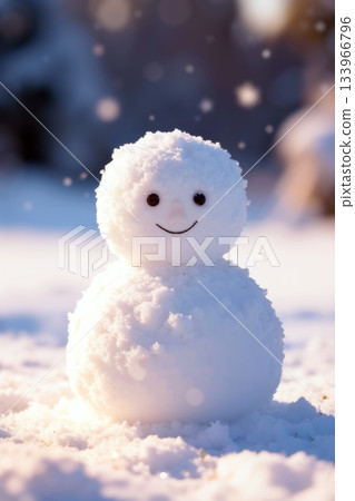 Cute Smiling Snowman Standing in Snowy Winter Field at Sunset Cute Smiling Snowman Standing in Snowy Winter Field at Sunset 133966796
