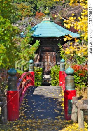 奈良Koen公園秋葉 奈良Koen公園秋葉 133966934