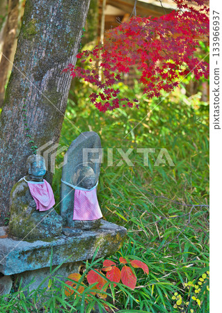 Fall of Shikokoji Fall of Shikokoji 133966937