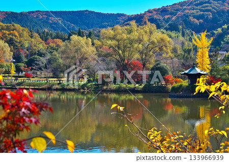 Autumn leaves of Nara Koen Park Autumn leaves of Nara Koen Park 133966939