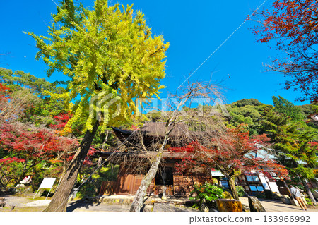 Fall of Shikokoji Fall of Shikokoji 133966992