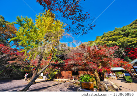 Shikokoji的秋天 Shikokoji的秋天 133966996