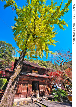 Fall of Shikokoji Fall of Shikokoji 133966997