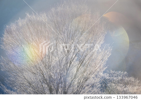 Frost on the countryside (Hiruzen Plateau) 133967046