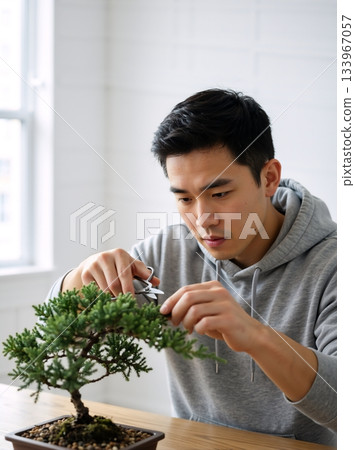 Focused Asian man pruning a bonsai tree with scissors indoors. Vertical portrait of a male gardener shaping a miniature plant at a table. Hobby and mindfulness concept Focused Asian man pruning a bonsai tree with scissors indoors. Vertical portrait of a male gardener shaping a miniature plant at a table. Hobby and mindfulness concept 133967057