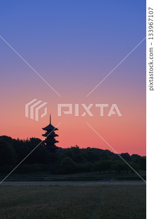 岡山_備中國分寺五重塔的壯麗景色 133967107