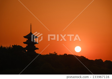 岡山_備中國分寺五重塔的壯麗景色 133967116