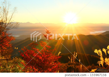 阿知村的天空 園原的星空與日出 阿知村的天空 園原的星空與日出 133967138