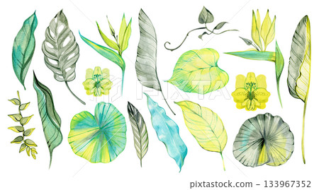 Watercolor collection of tropical leaves and flowers including monstera, strelitzia, and lotus. A bright botanical set for summer prints, jungle patterns, and natural design projects. Watercolor collection of tropical leaves and flowers including monstera, strelitzia, and lotus. A bright botanical set for summer prints, jungle patterns, and natural design projects. 133967352