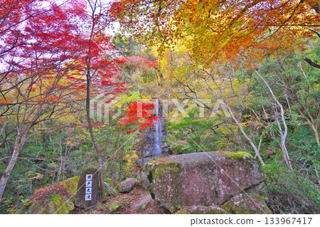 Autumn leaves of Iwadoyado Park Autumn leaves of Iwadoyado Park 133967417